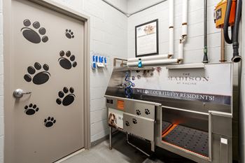 Pet wash